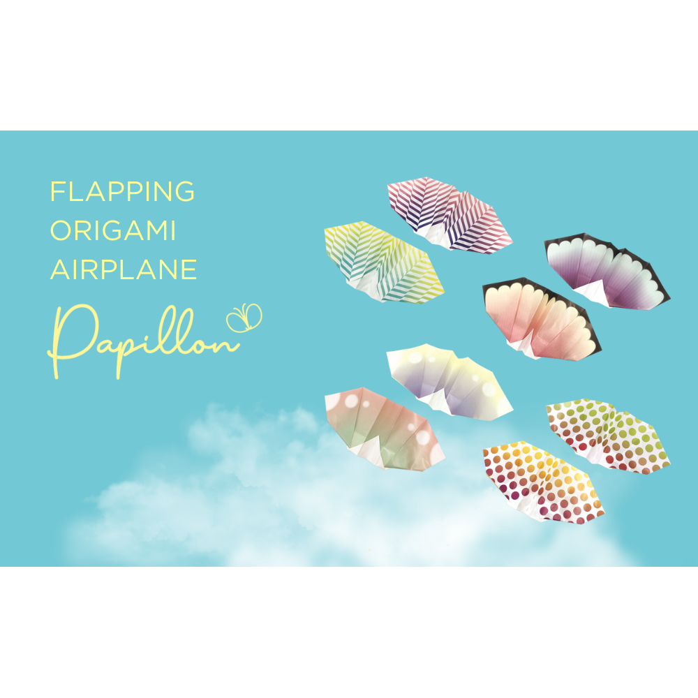 Papillon Origami Airplanes